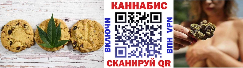 shop какой сайт  Шилка  Canna-Cookies марихуана  купить  цена  ссылка на мегу зеркало 
