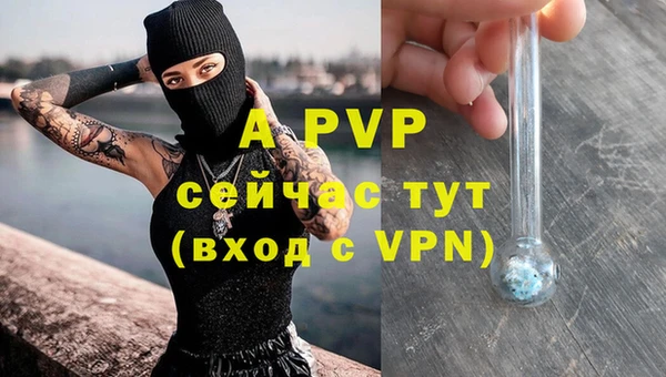apvp Абаза