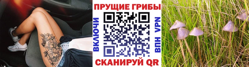 Галлюциногенные грибы ЛСД  Шилка 